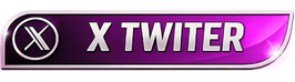 Twitter X