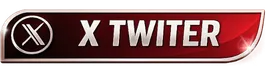 Twitter X